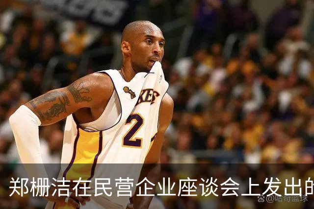 郑栅洁在民营企业座谈会上发出的深刻信号